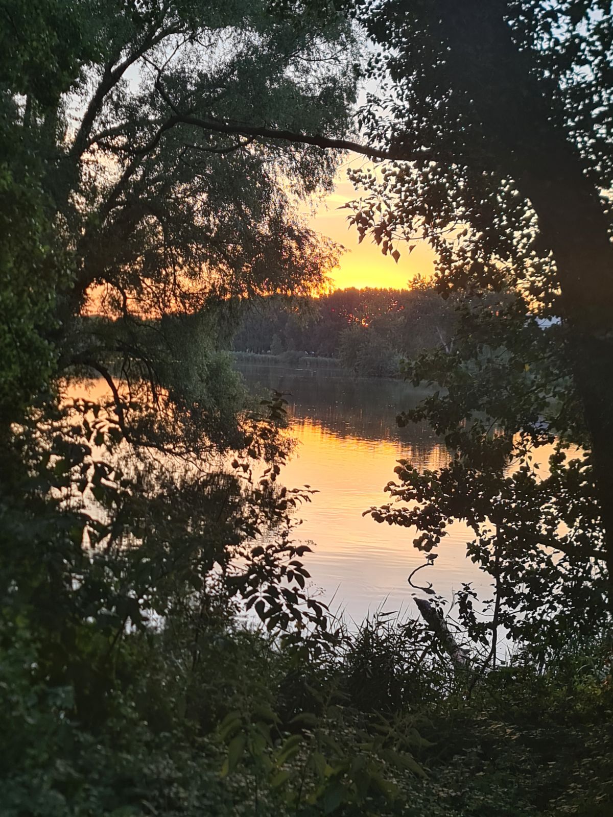 Coucher de soleil